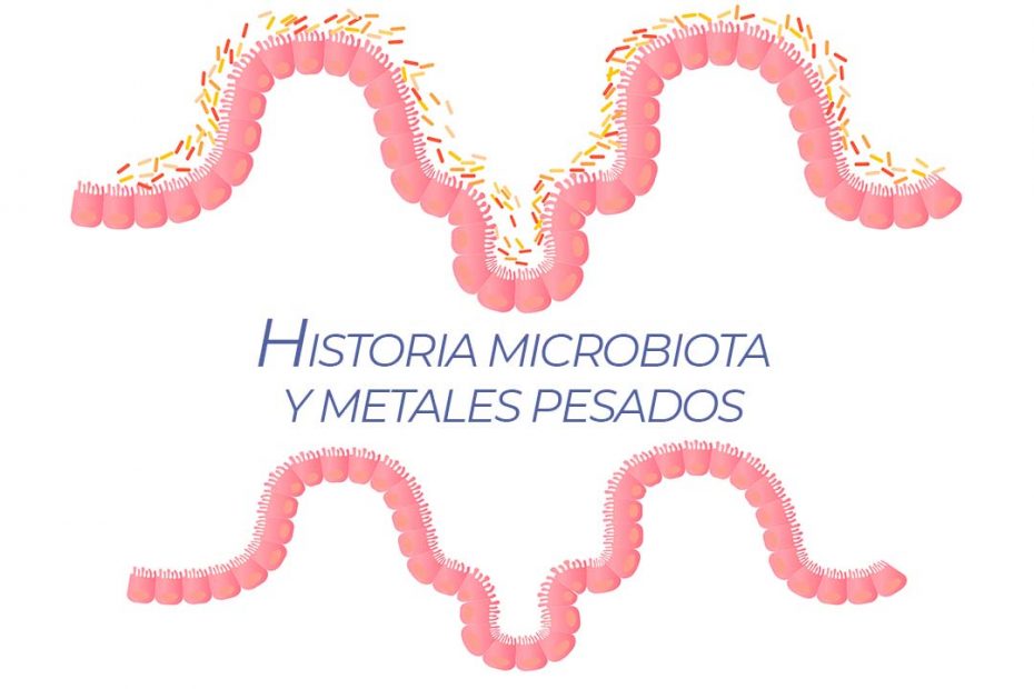 historia microbiota y metales pesados