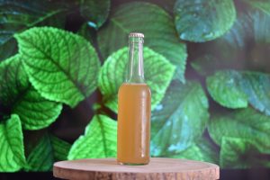 kombucha-probiototica-levaduras